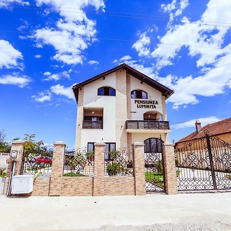 Pensiunea Luminita Târgu Jiu エクステリア 写真